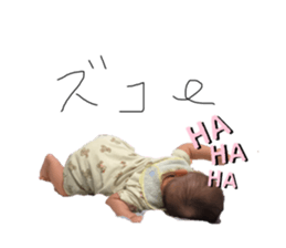 447636891