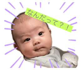 447726608