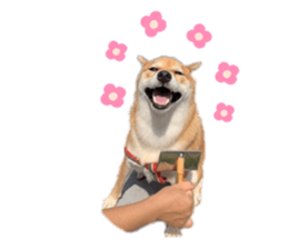 447732771