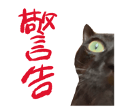 447807195