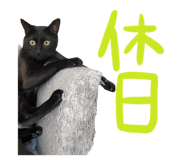 447807197