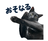447807198