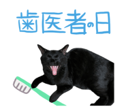 447807201