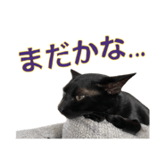 447807208