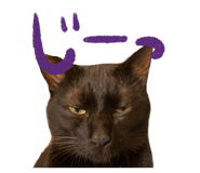 447807212