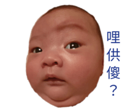 447830933