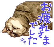 447856470