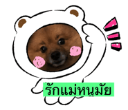 447862165