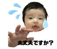 447887624