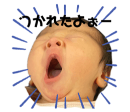 447891213
