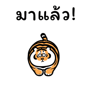 เสืออ้วนดุ๊กดิ๊ก รูปที่ 12
