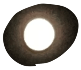 448031656