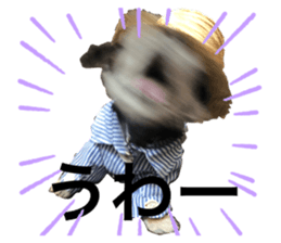 448041461