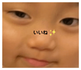 448042495