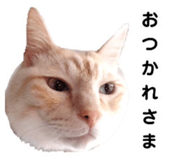 448080692