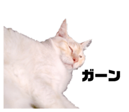448080712