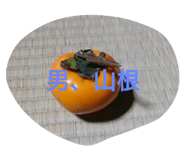 448136062