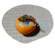 448136068
