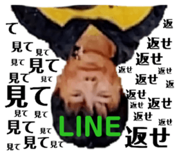 448149525