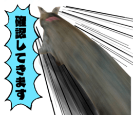 448159663