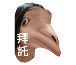 448164996