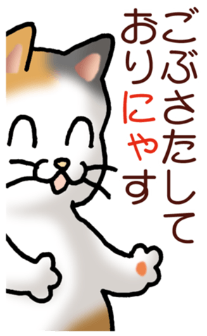 448246507