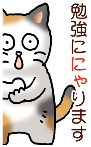 448246509