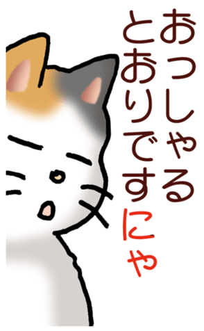 448246510
