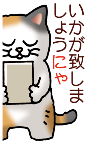 448246511