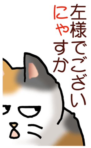 448246520