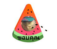 448285160