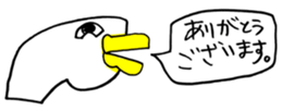 448304854