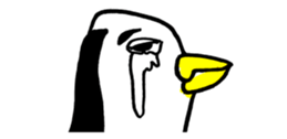 448304855