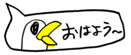 448304856
