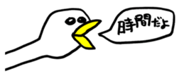 448304876