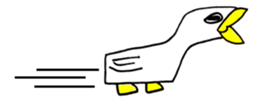448304879