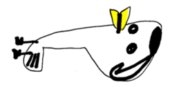 448304884