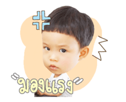 44836031