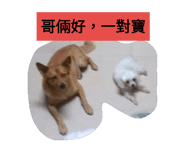 44836534