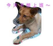 44836537