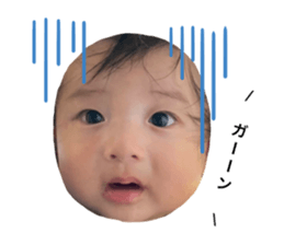 448384423
