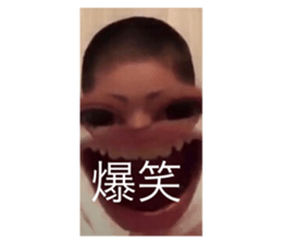 448407025