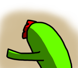 448520029