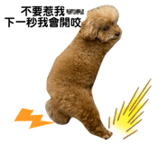 448558895