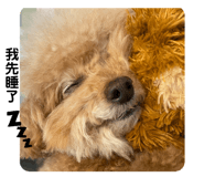 448558904
