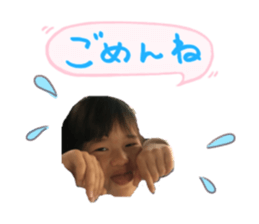 44857066