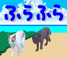 448588021