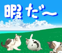 448588022