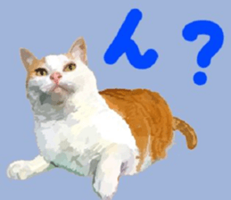 448588030