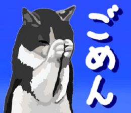 448588039